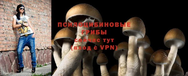 ALPHA-PVP Армянск
