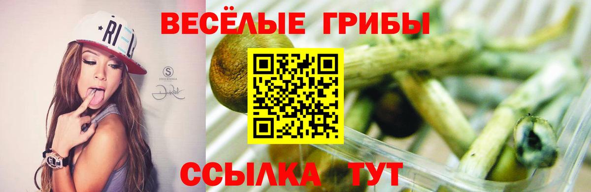 Галлюциногенные грибы мухоморы  Вход с VPN  Каспийск  Псилоцибиновые грибы прущие грибы 